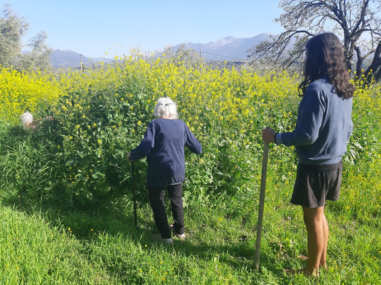 Dylan and Grandma Voula with the overgrown plants