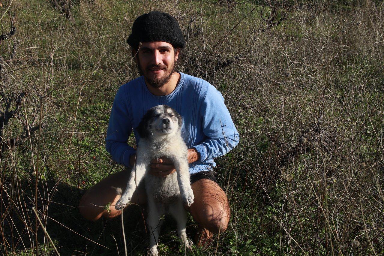 Dylan Araps holding puppy
