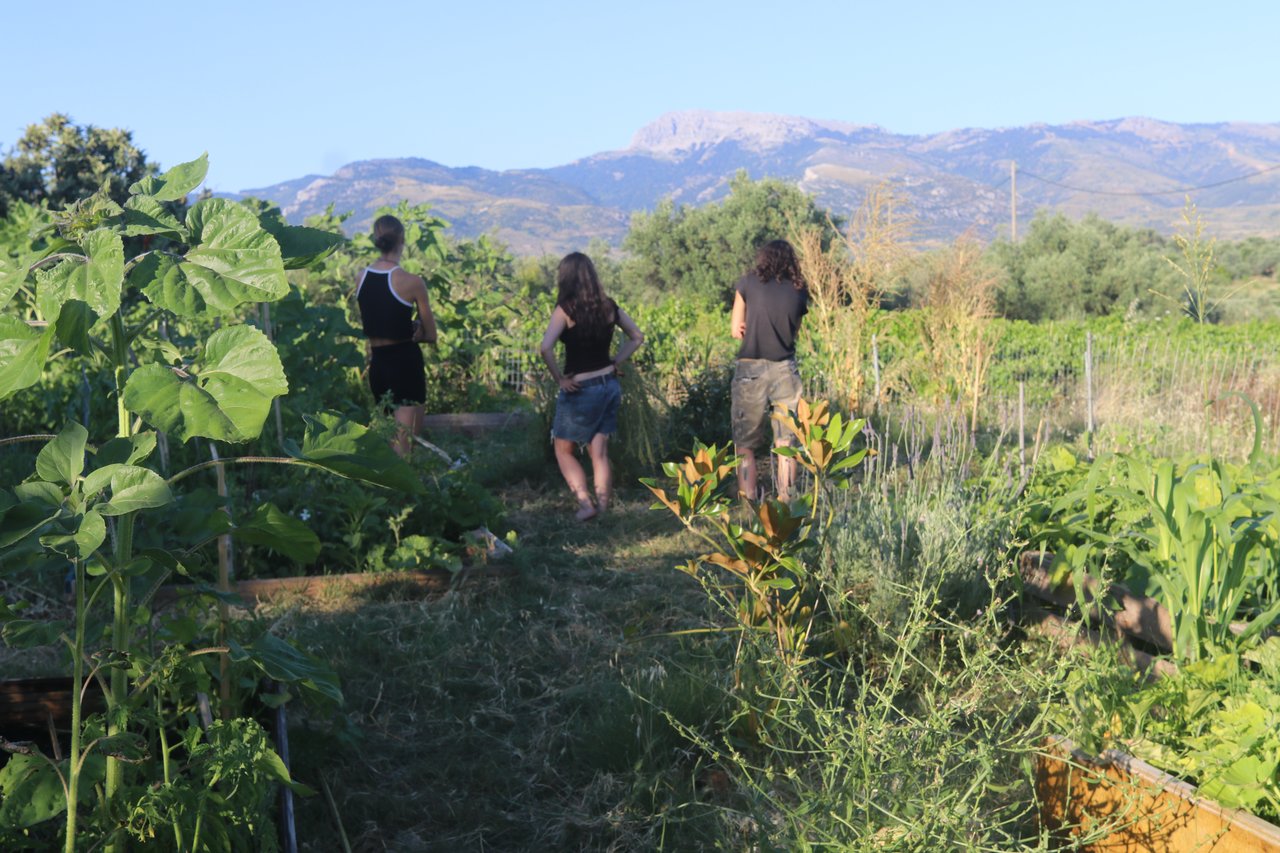 Volunteers in the garden