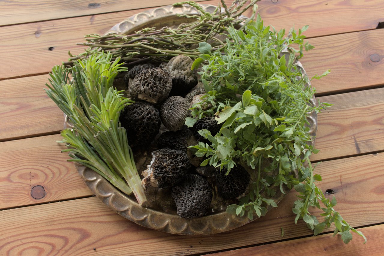 Foraged winter ingredients